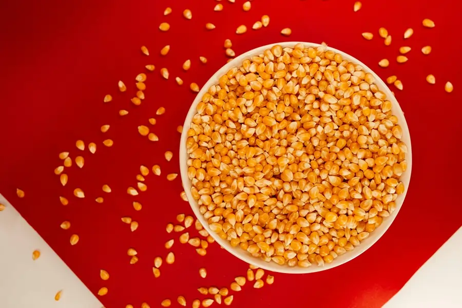 popcorn production